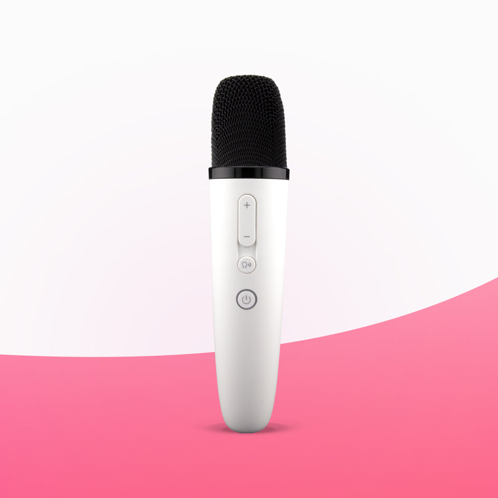 Karaoke Equipment for Home and Professional Use – KaraFun Shop